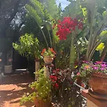 Tres Beau Lumineux Dans Avec Piscine *