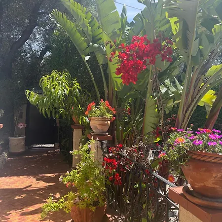 Tres Beau Lumineux Dans Avec Piscine *