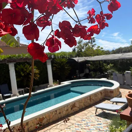 Apartment Tres Beau Lumineux Dans Avec Piscine *