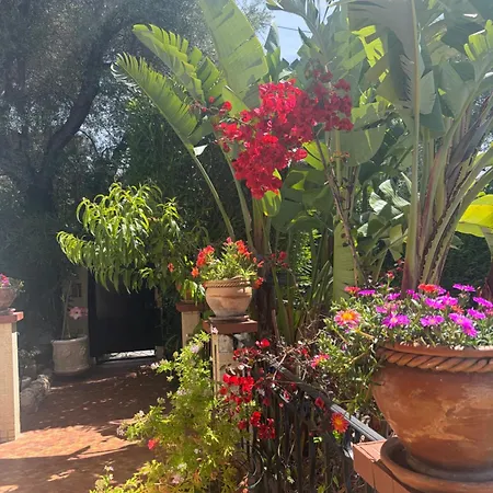 Tres Beau Lumineux Dans Avec Piscine Apartment Juan-les-Pins