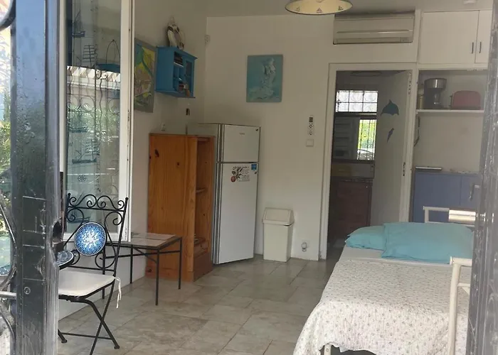 Tres Beau Lumineux Dans Avec Piscine Daire *