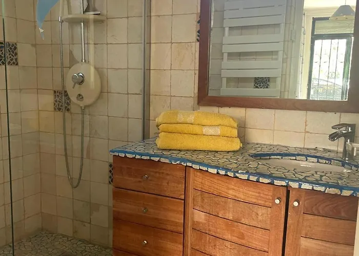 Tres Beau Lumineux Dans Avec Piscine